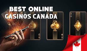 Discover the Best Top Online Casinos for Exciting Gaming Experiences